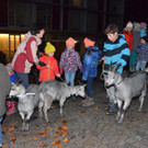 Waldweihnacht Braz