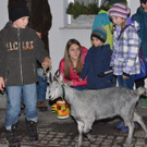 DSC_1397.jpg