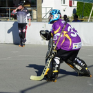 102_2666_jpg-1276027175
