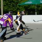 102_2672_jpg-1276027332