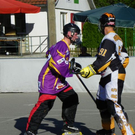 102_2675_jpg-1276027333