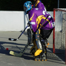 102_2694_jpg-1276027344