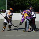 102_2725_jpg-1276027362