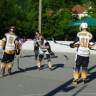 102_2747_jpg-1276027375