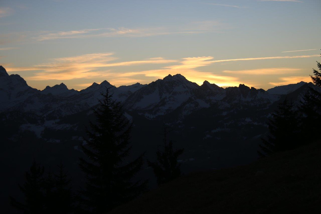 IMG_6944.jpg