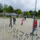 101_3431_jpg-1276033291