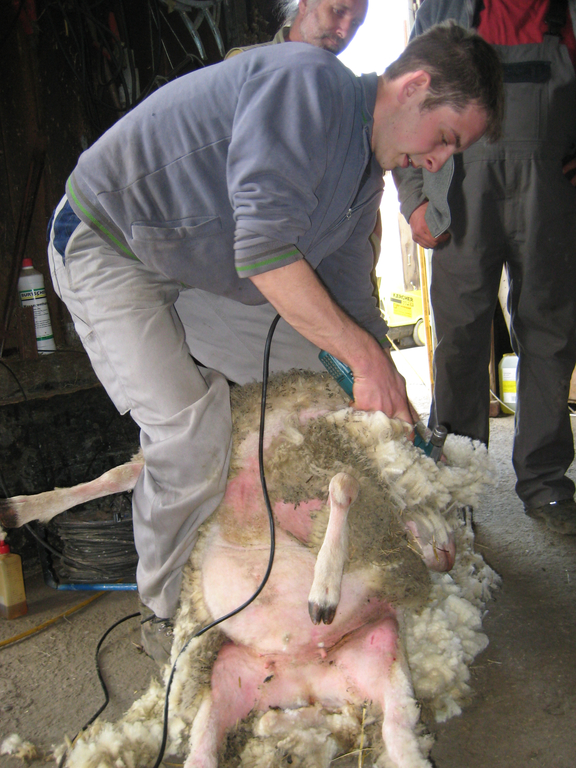 Scherkurs April 2010 _11_.jpg