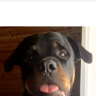 75.png