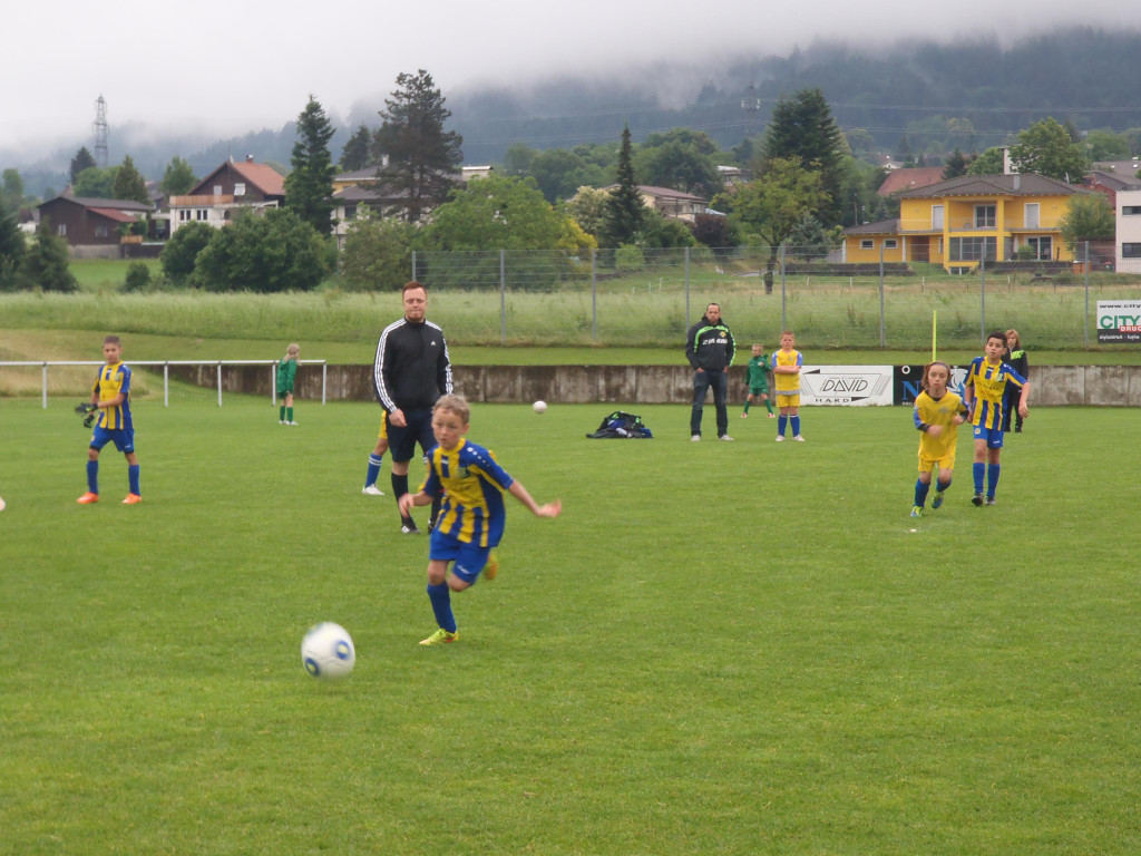 P6210055.JPG