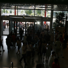_MG_7356.JPG