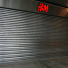 _MG_7355 _Medium_.JPG