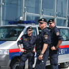 _MG_7368 _Medium_.JPG