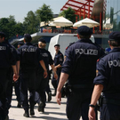 _MG_7371 _Medium_.JPG