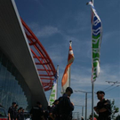 _MG_7381 _Medium_.JPG