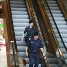 _MG_7389 _Medium_.JPG