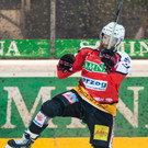file6ns53oai4kk1a8isgbpj.jpg