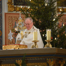 DSC_1319 Kopie.jpg