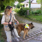 DSCF6671.jpg