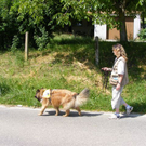 DSCF6673.jpg