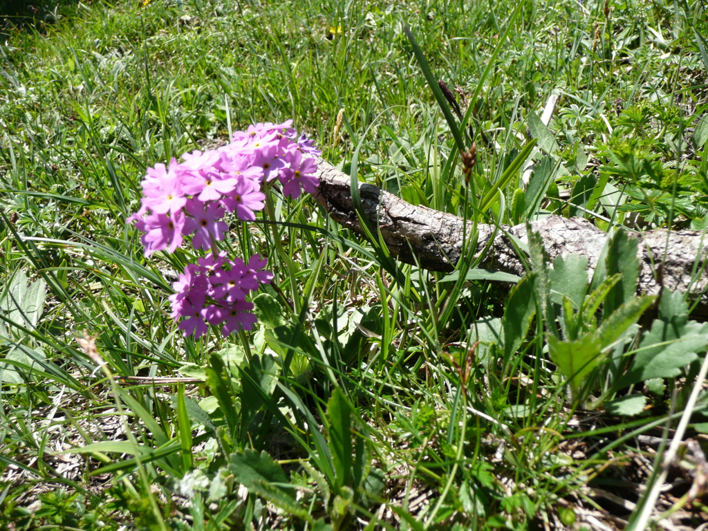 05_06_2010 058.jpg