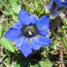 IMG_00320.jpg