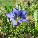 IMG_00420.jpg