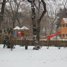 IMG_2773.JPG