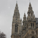 IMG_2775.JPG