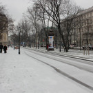 IMG_2793.JPG