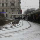 IMG_2806.JPG
