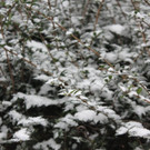 IMG_2813.JPG