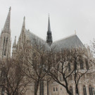IMG_2820.JPG