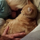 20151120_150931.jpg