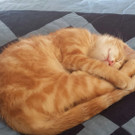 IMG-20150910-WA0000.jpg