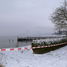 ABD0033-20160104.jpg