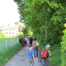 Waldbegehung Urwald erleben _3__JPG-1276113353