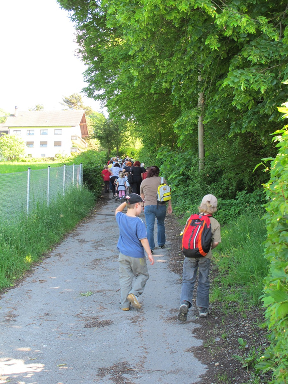 Waldbegehung Urwald erleben _3__JPG-1276113353