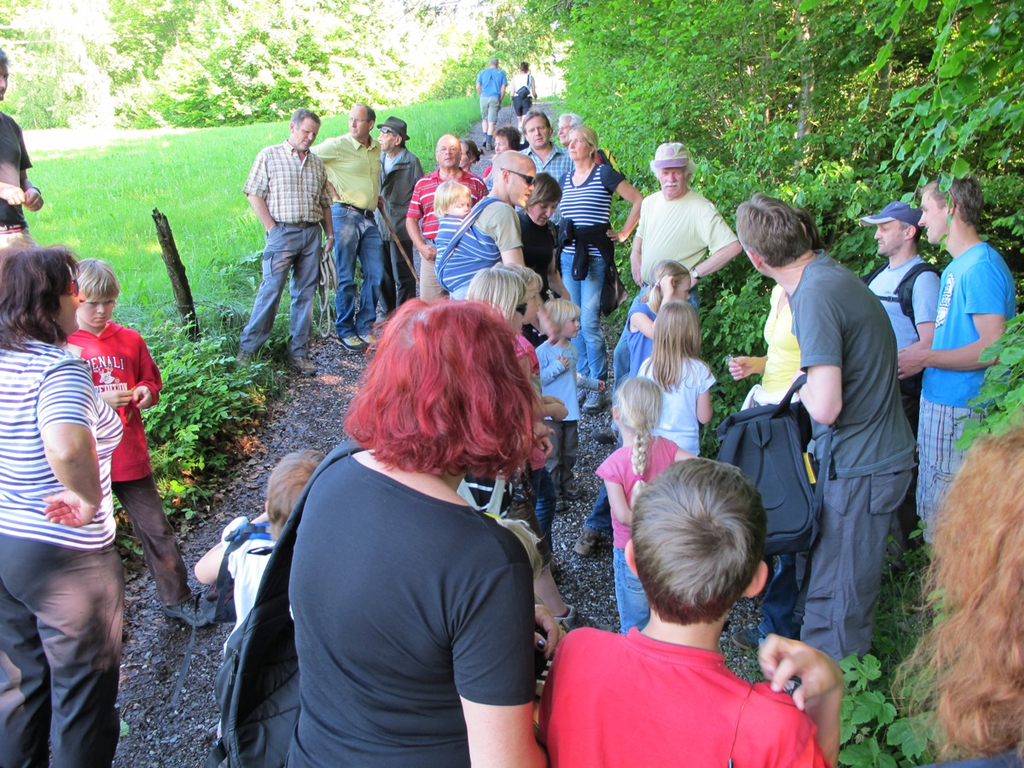 Waldbegehung Urwald erleben _4__JPG-1276113364