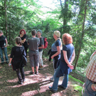 Waldbegehung Urwald erleben _7__JPG-1276113402