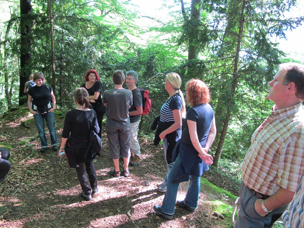 Waldbegehung Urwald erleben _7__JPG-1276113402