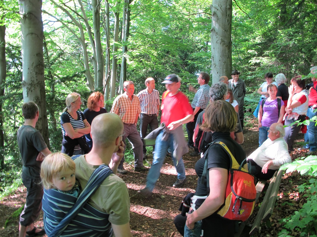 Waldbegehung Urwald erleben _8__jpg-1276113414