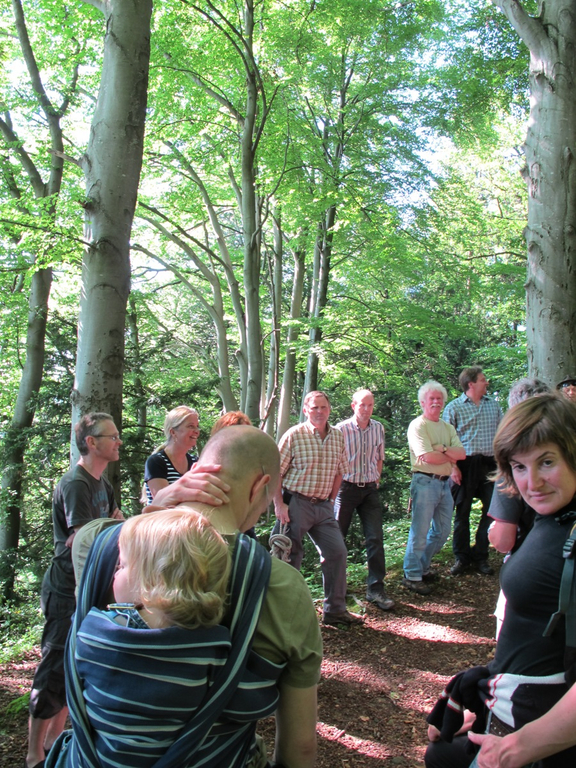 Waldbegehung Urwald erleben _9__JPG-1276113428