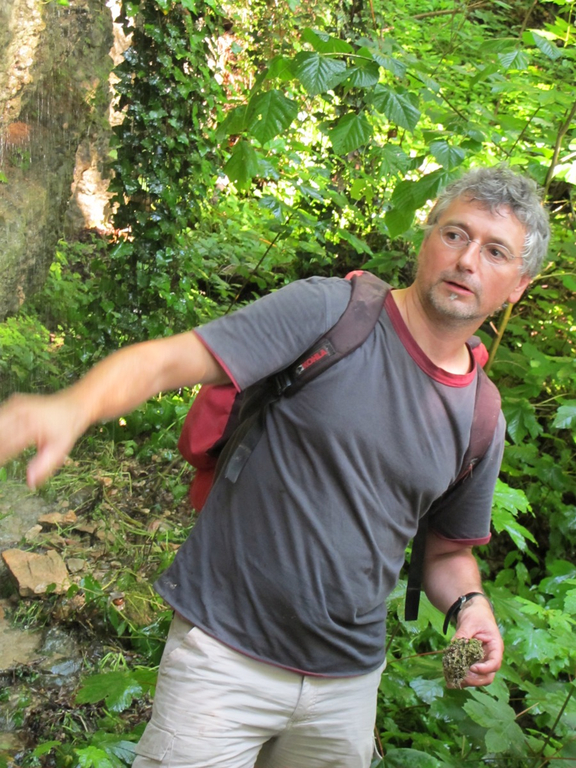 Waldbegehung Urwald erleben _10__JPG-1276113438