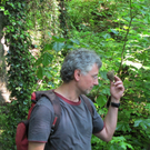 Waldbegehung Urwald erleben _11__JPG-1276113451