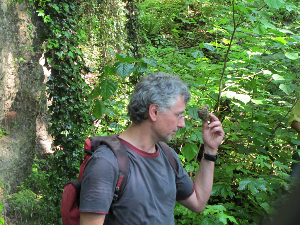 Waldbegehung Urwald erleben _11__JPG-1276113451