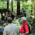 Waldbegehung Urwald erleben _12__JPG-1276113464