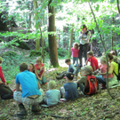 Waldbegehung Urwald erleben _14__JPG-1276113491