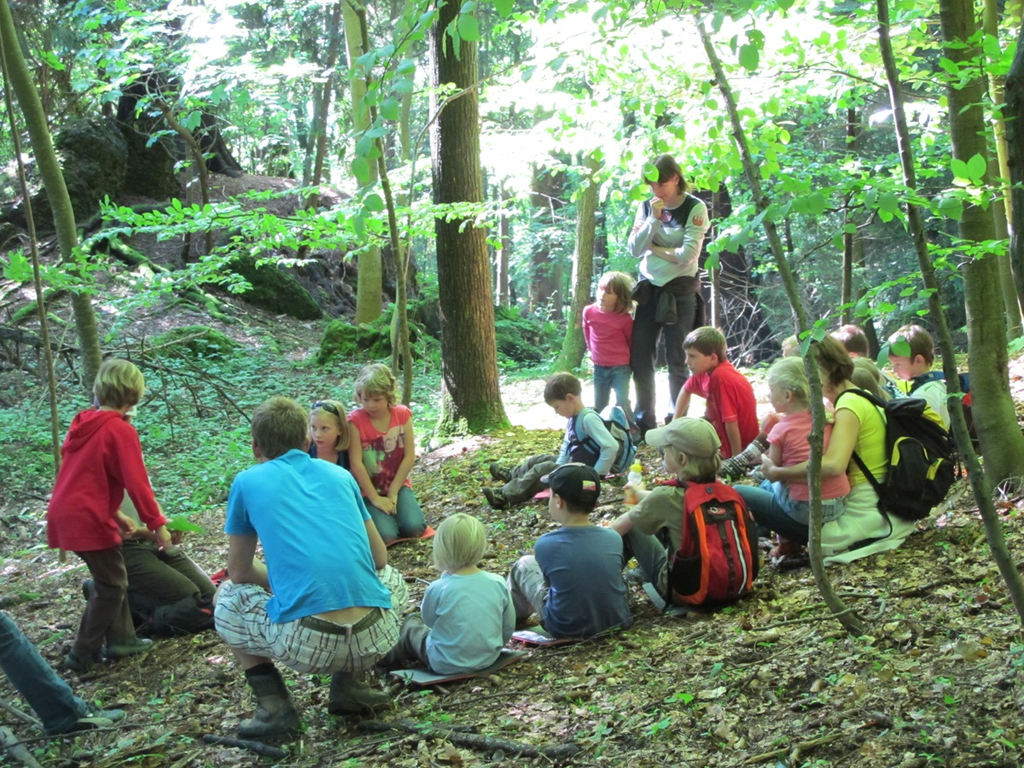 Waldbegehung Urwald erleben _14__JPG-1276113491