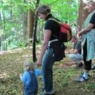 Waldbegehung Urwald erleben _15__JPG-1276113503