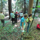 Waldbegehung Urwald erleben _16__JPG-1276113516